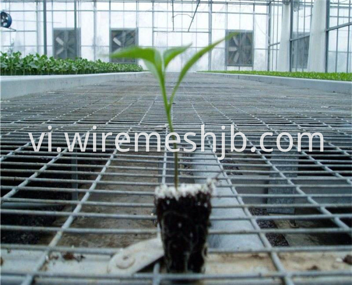 Greenhouse Seedling Bed Mesh